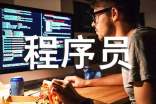 程序员工作总结【推荐】