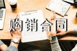 购销合同(经典)